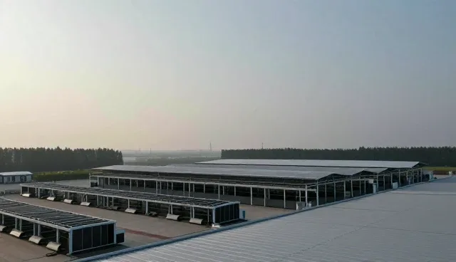 旧房翻新中软装搭配的实用技巧与日常维护建议